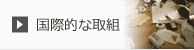 国際的な取組
