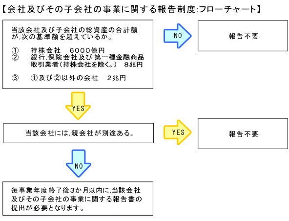 会社及びその子会社の事業に関する報告制度：フローチャート