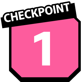 CHECKPOINT 1