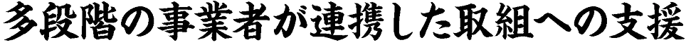 多段階の事業者が連携した取組への支援